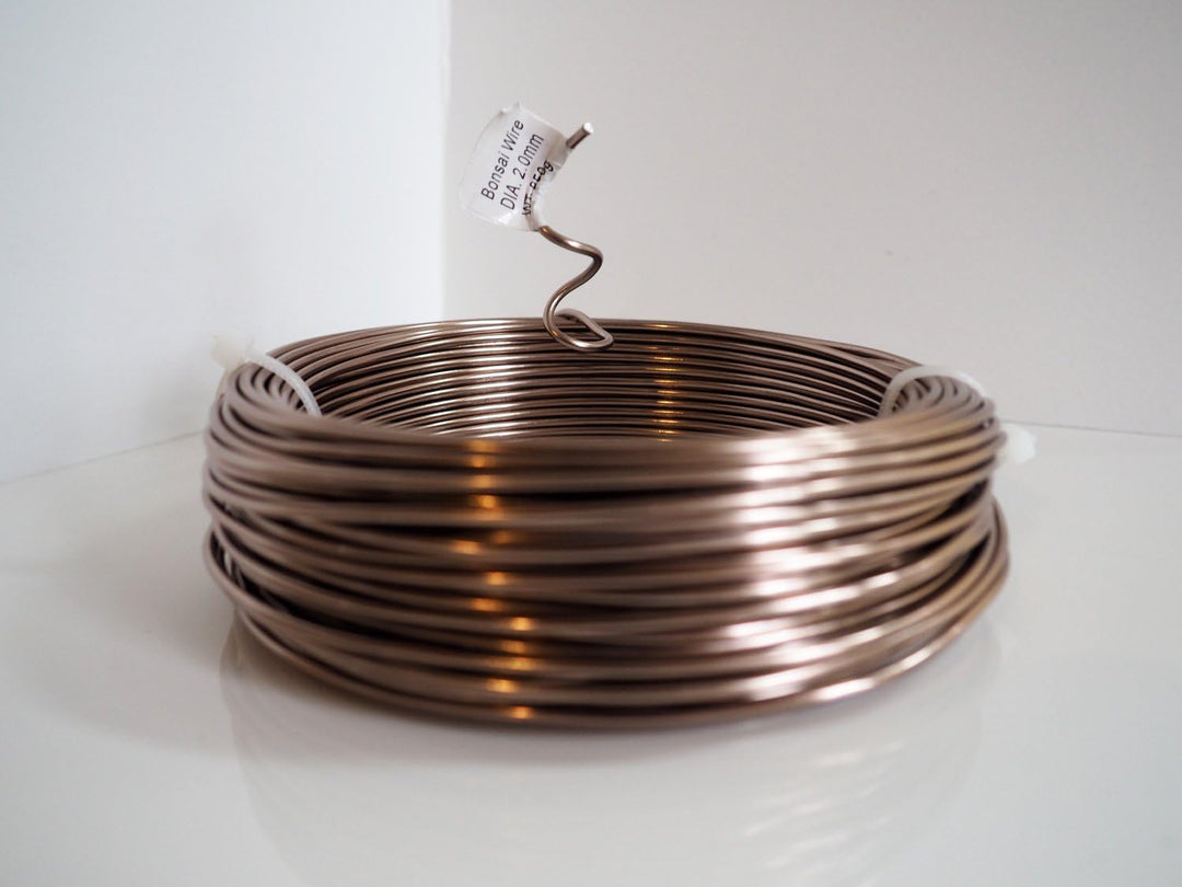 Grow A Bonsai Tree Eloxiertes Aluminium 2,0mm Bonsai Draht 250g grosse Rolle (95 Feet) - (2,0mm, Bra