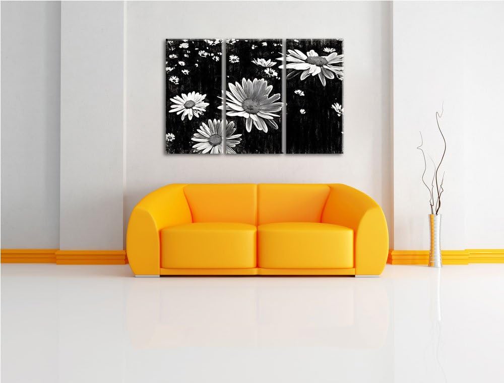 viele kleine Margariten schwarz/weiss Deluxe 3-Teiler Leinwandbild 120x80 Bild auf Leinwand, XXL rie