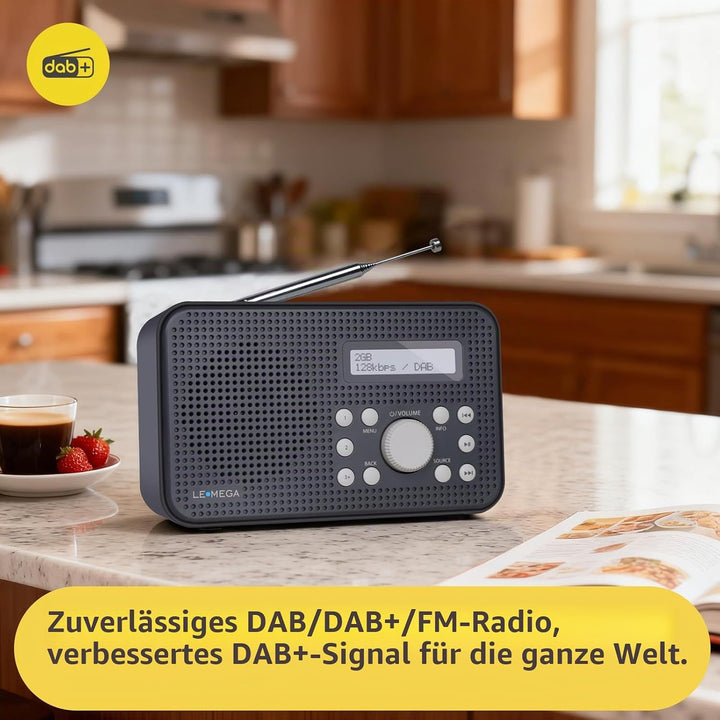 LEMEGA MP2 Portable DAB Radio (Dunkelgrau, MP2) MP2 Dunkelgrau, MP2 Dunkelgrau