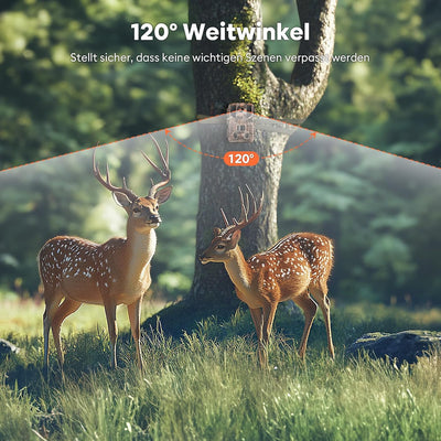 Solareye WLAN Wildkamera mit Handyübertragung App, 2,7K 48MP Wildkamera mit Bewegungsmelder Nachtsic