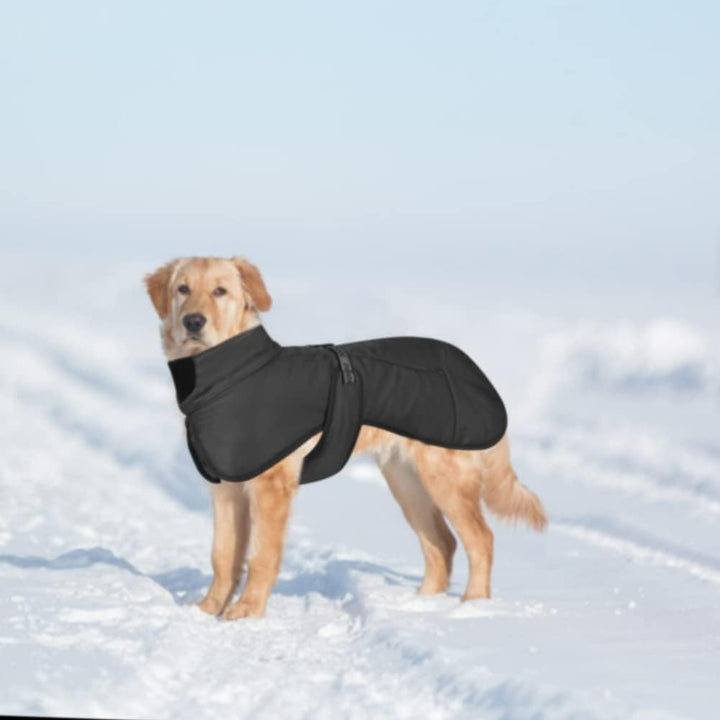 Hundemäntel Wasserdicht Winddicht Warm Winter Sicher mit Gewinde Reflektierende Streifen Jacke für M