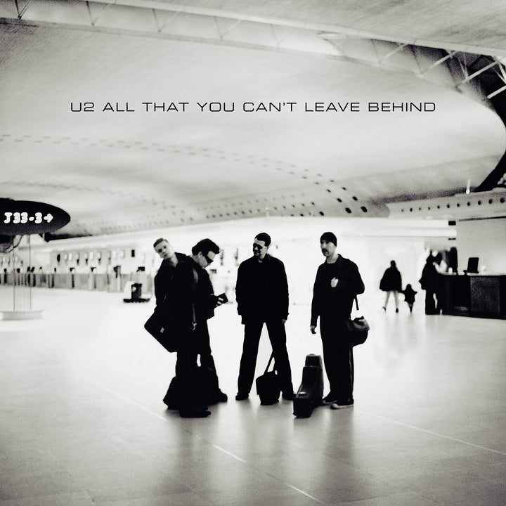 All That You Can't? (20th Anni. Lifetime, Vinyl