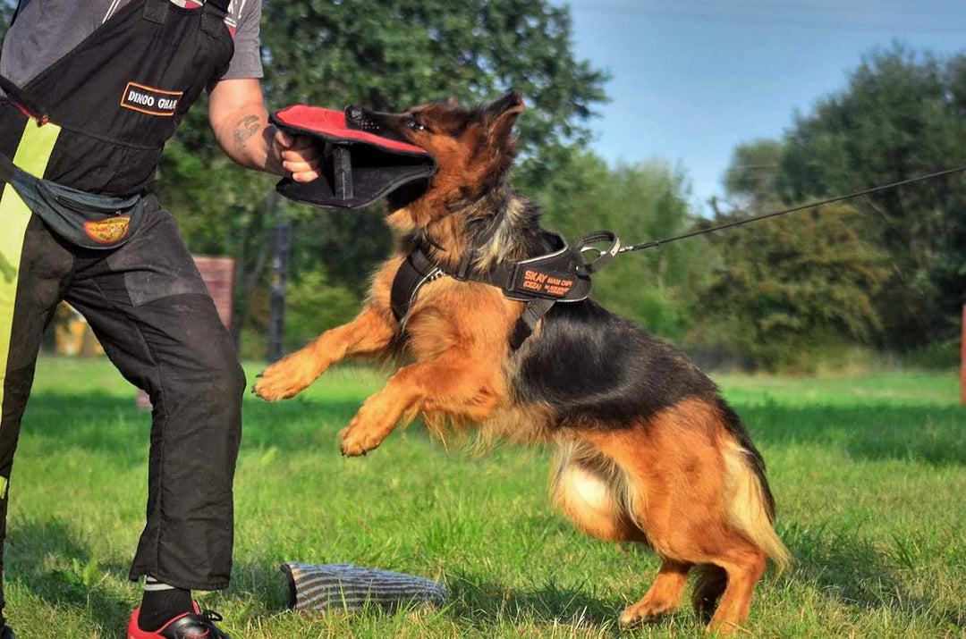 Dingo Gear Beisskissen Keilform Gizmo aus Baumwolle-Nylon Rot Ausbildung IGP IPO K9 S00517 Baumwolle