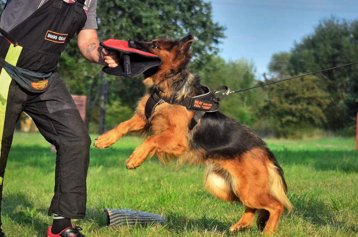 Dingo Gear Beisskissen Keilform Gizmo aus Baumwolle-Nylon Rot Ausbildung IGP IPO K9 S00517 Baumwolle