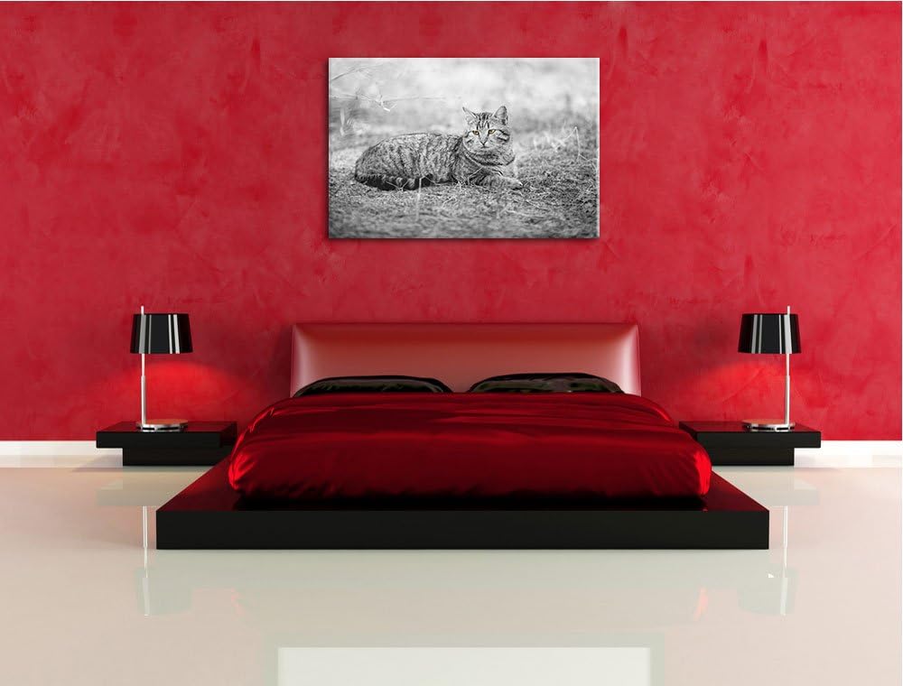ruhende Katze auf Waldboden schwarz/weiss Format: 100x70 auf Leinwand, XXL riesige Bilder fertig ger
