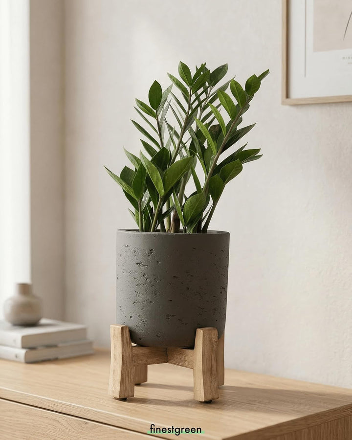 Finestgreen Charlie Feet Low | Handgefertigtes Pflanzgefäss auf Holzfüssen (M Ø:21 H:25,5 cm, Schwar