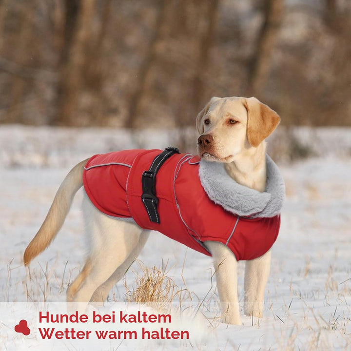 Hundemantel Wasserdicht, Winter Hundejacke Warme Winddichter Anti-Schneeanzug Hunter Hundemantel(Rot