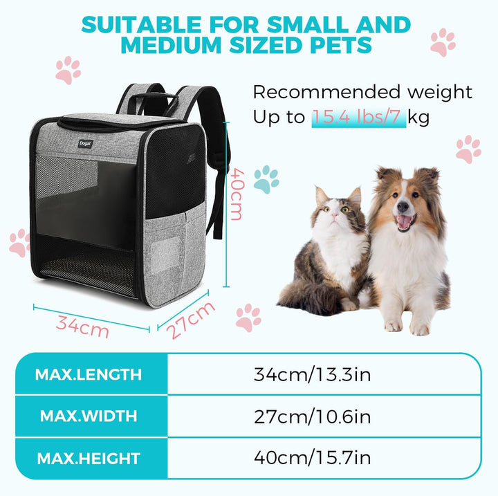 Dogat Katzenrucksack mit Netzfenster, Tragbare und Faltbare Haustier Rucksack mit integrierter Siche