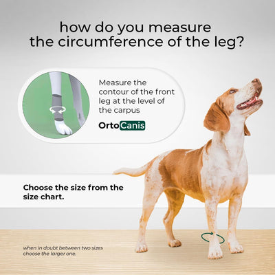Ortocanis - Karpalgelenkbandage für Hunde mit Arthrose, Bänder- oder Sehnenverletzungen, Grösse S, G