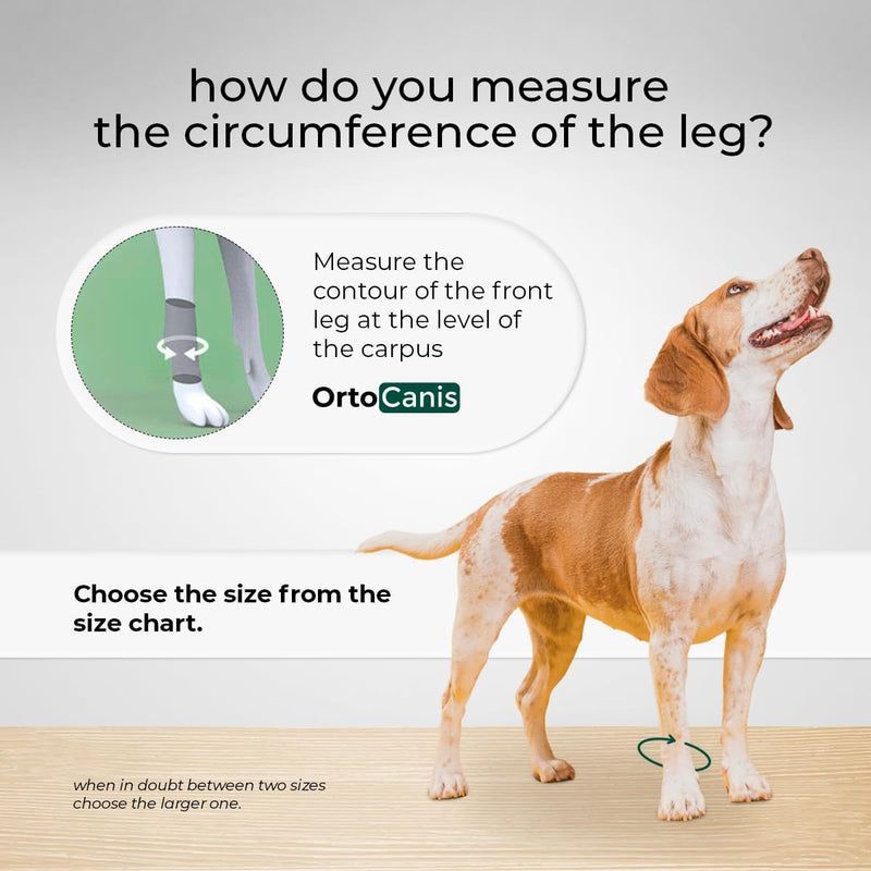 Ortocanis - Karpalgelenkbandage für Hunde mit Arthrose, Bänder- oder Sehnenverletzungen, Grösse S, G