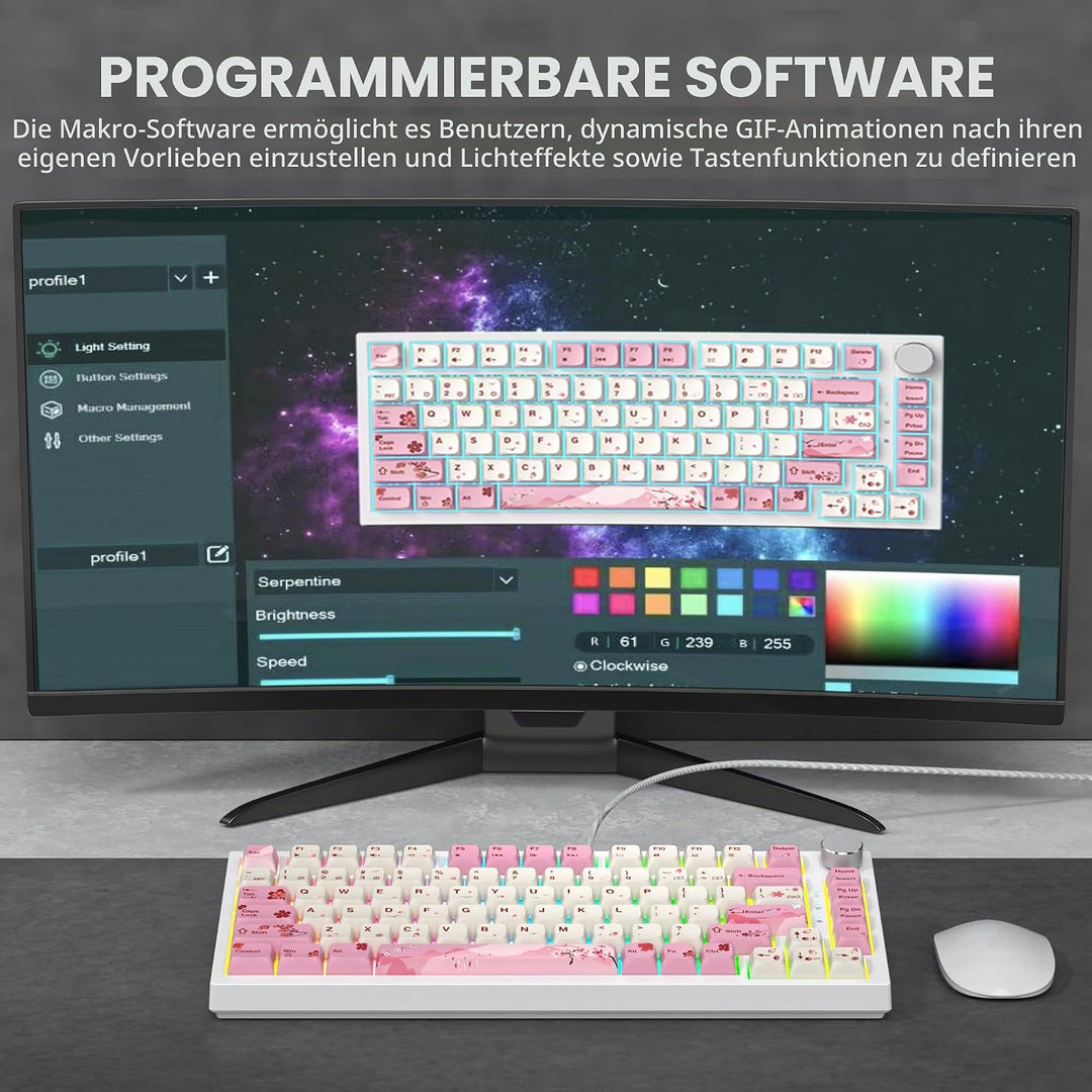 SOLIDEE Verkabelte 75% Mechanische Gaming-Tastatur,hot-swap-fähige Mechanische Tastatur mit Gasket S