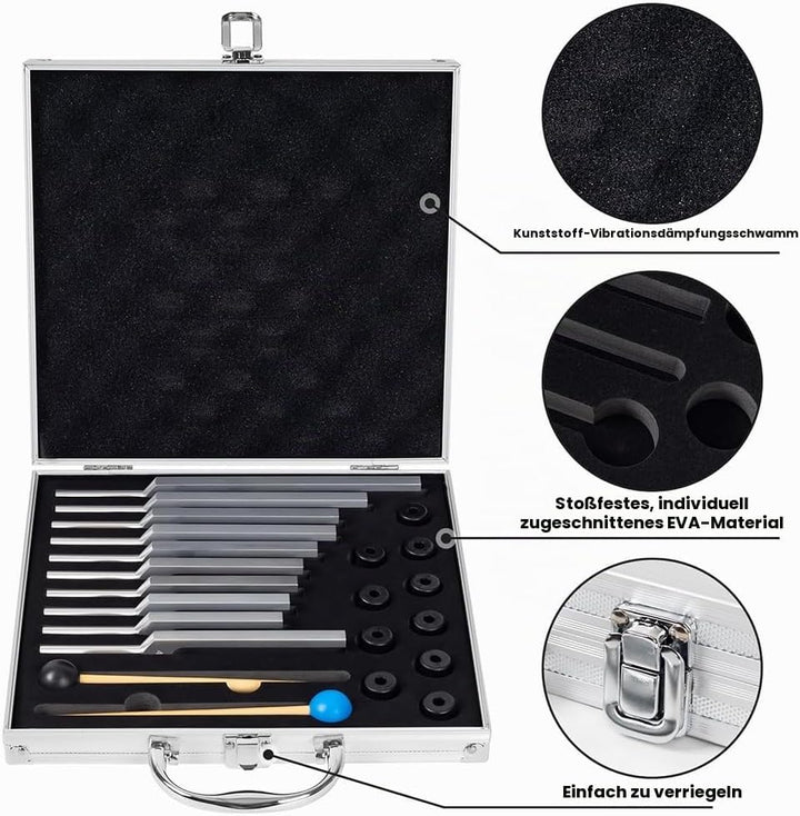 Stimmgabel,Stimmgabel Neurologie, 10er Set mit Sockel + 2 Silikonhämmer und Reinigungstücher, Ideale