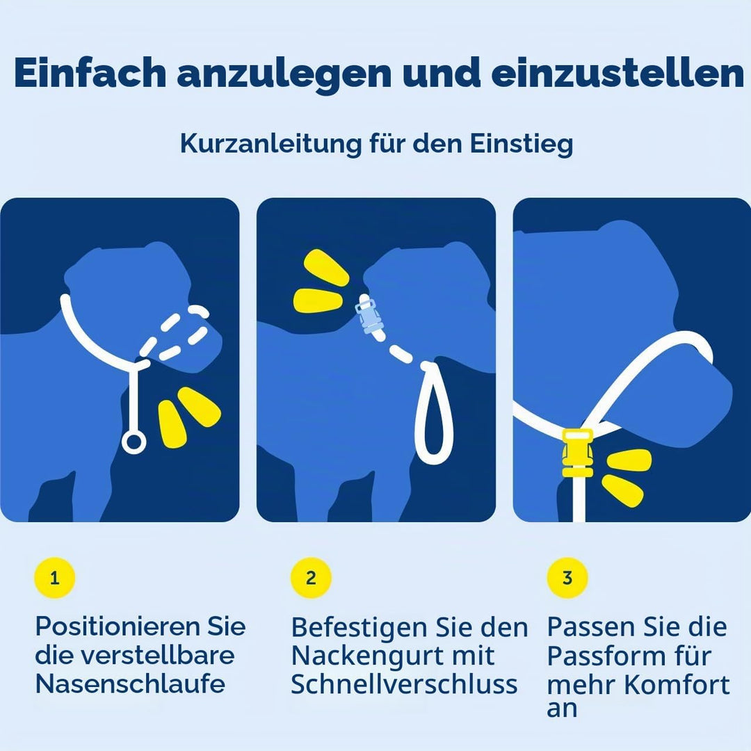 PetSafe Sanfter Führer Halsband mit Trainings-DVD schwarz Medium, schwarz Medium