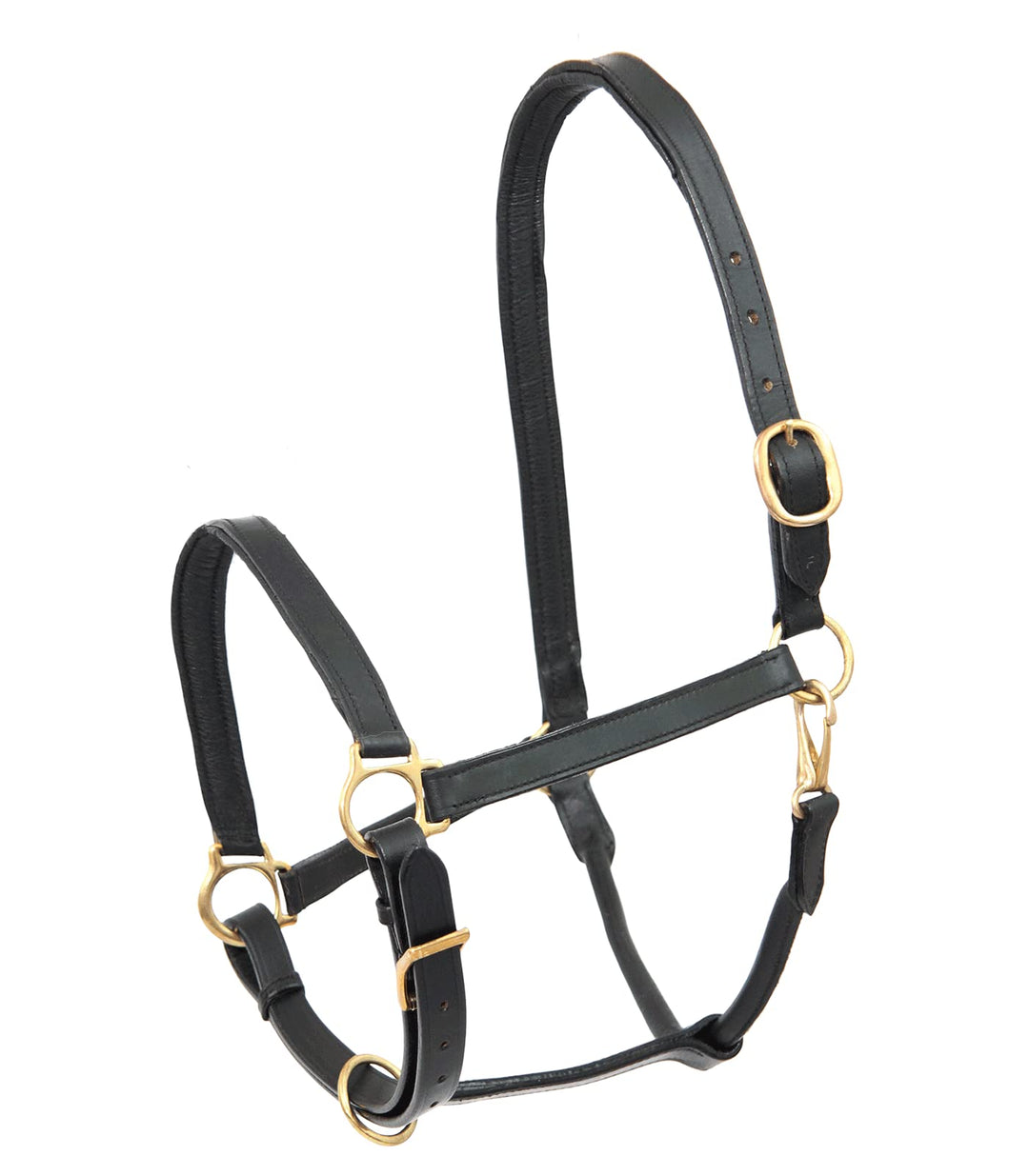 WALDHAUSEN Star Lederhalfter Robust Schwarz Pony, Schwarz Pony