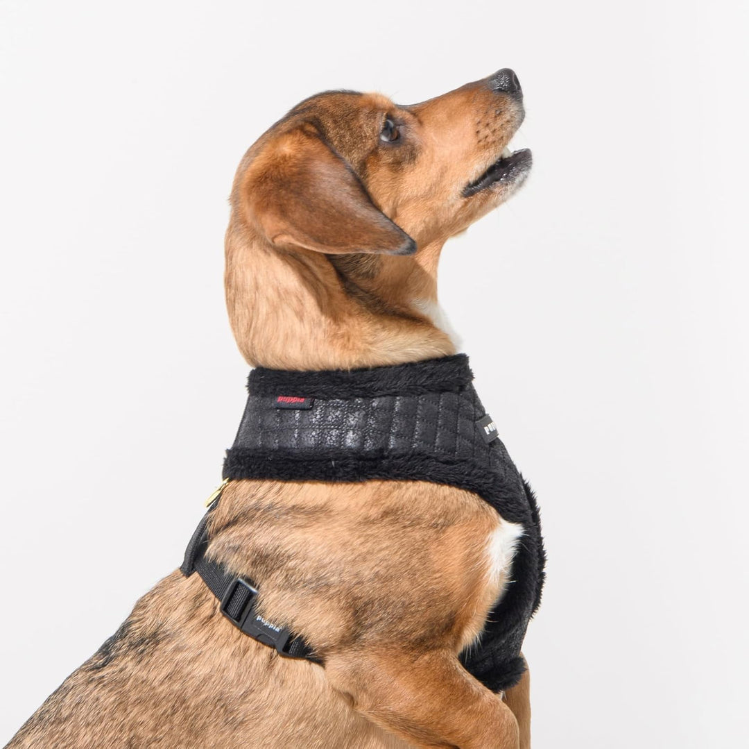 Puppia Douglas Hundegeschirr Überkopf Warm Winter Rautenmuster Verstellbare Brust für Kleine Mittler
