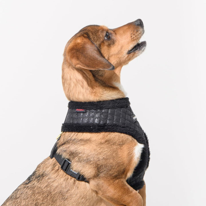 Puppia Douglas Hundegeschirr Überkopf Warm Winter Rautenmuster Verstellbare Brust für Kleine Mittler