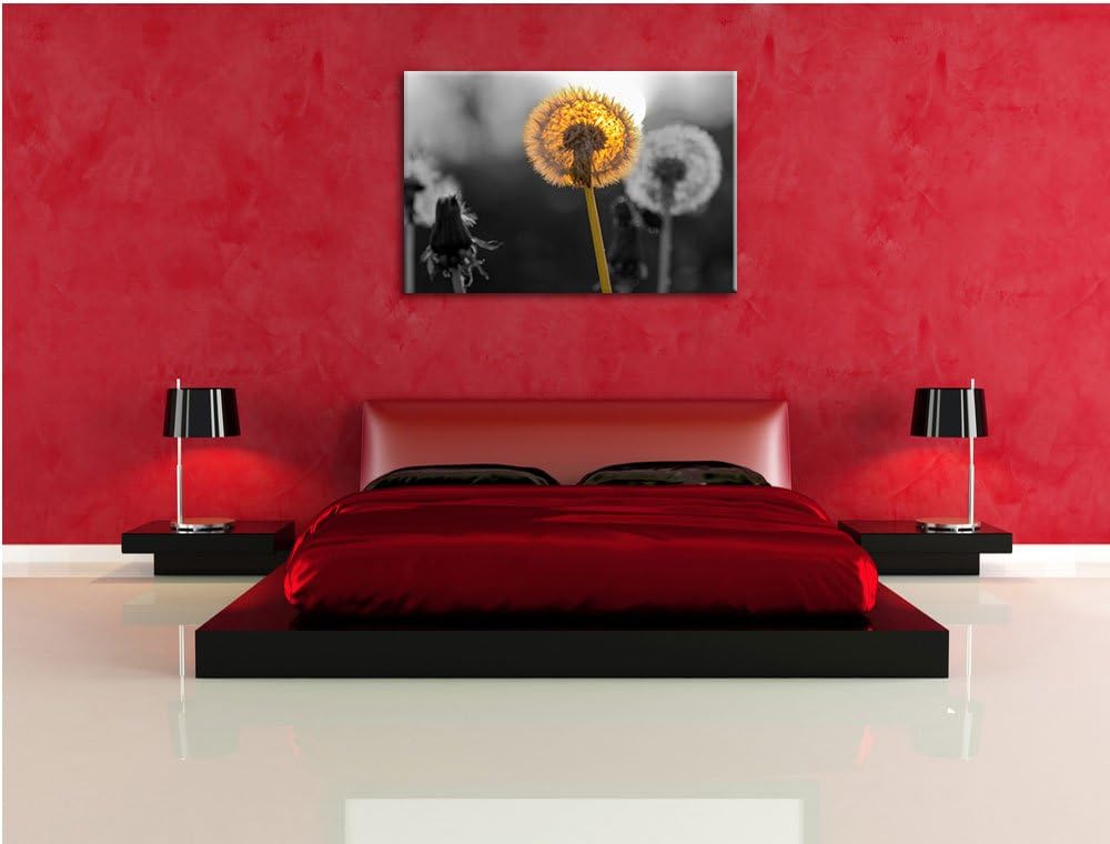 schöne Pusteblumen beim Sonnenuntergang schwarz/weiss Format: 100x70 auf Leinwand, XXL riesige Bilde