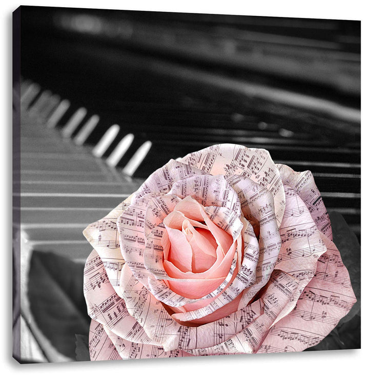 Pixxprint Noten auf Rosenblätter schwarz/weiss, Format: 70x70 auf Leinwand, 70x70
