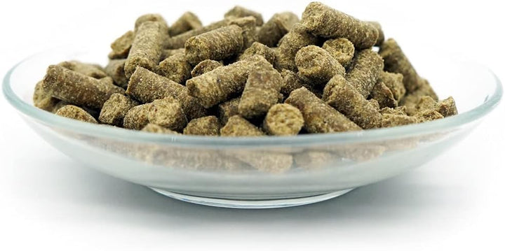 Bellfor Futterset Hundefutter Hypoallergen 4 kg Snacks 200 g Diät für Hunde 120 g für Ernährungssens