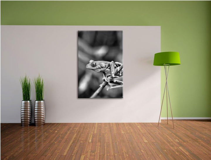 Pixxprint Grüner Kleiner Frosch auf AST als Leinwandbild | Grösse: 100x70 cm | Wandbild | Kunstdruck