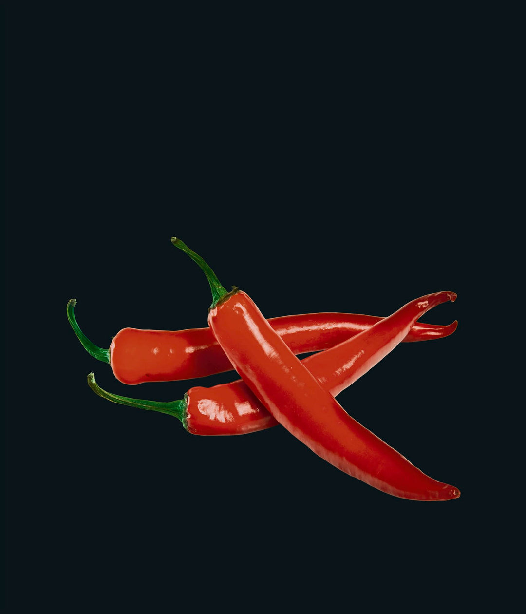 WENKO Glasrückwand Hot Peperoni 60 x 70 cm - Spritzschutz, Gehärtetes Glas, 60 x 70 cm, Mehrfarbig,