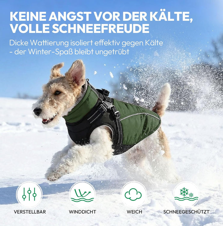 Hundemantel mit Geschirr Hundejacke für Kleine und Mittelgrosse Hunde Gepolsterte Wasserdicht Winter