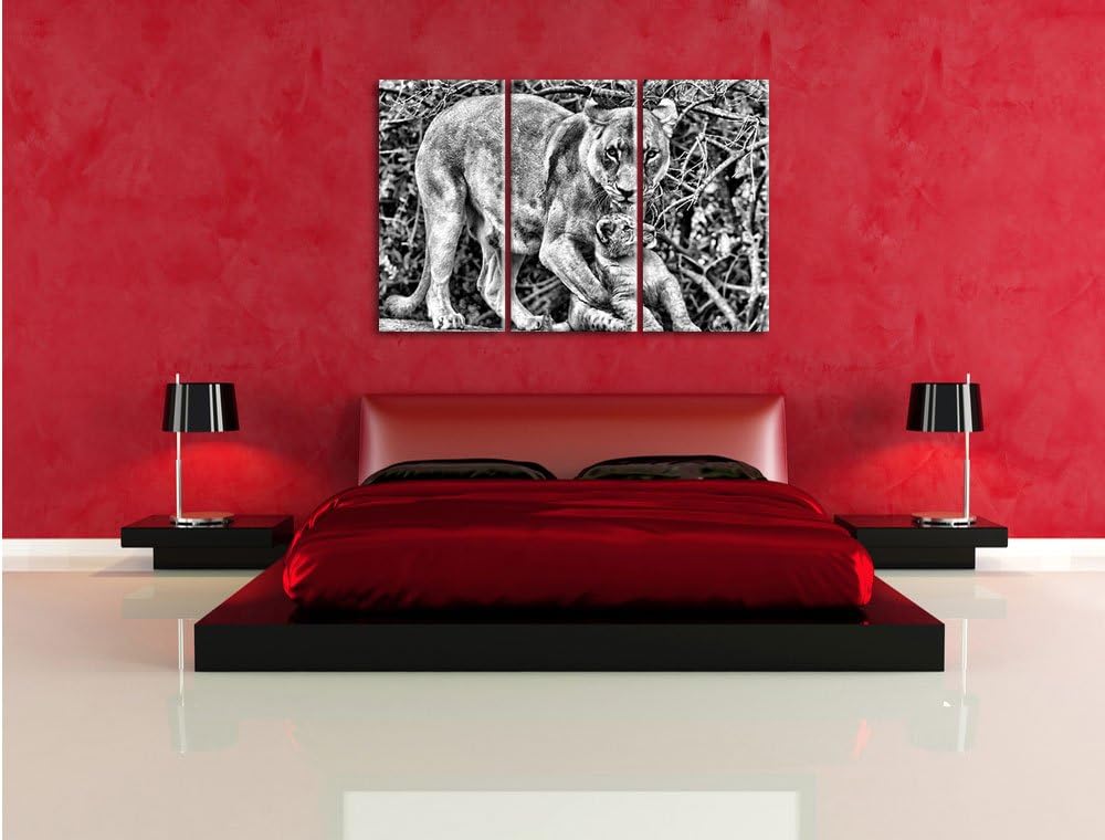 Pixxprint Monocrome, Löwin spielt mit Jungtier 3-Teiler Leinwandbild 120x80 Bild auf Leinwand