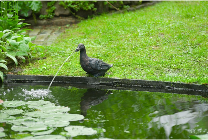 Exclusive - Wasserspeier Ente