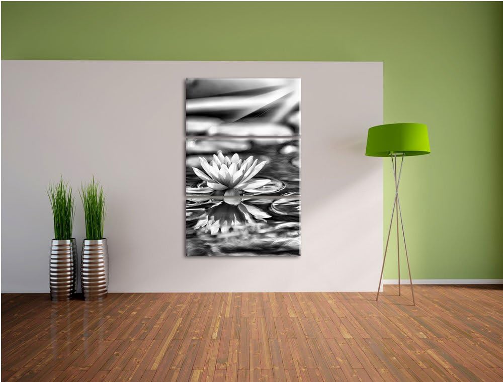 Pixxprint Monocrome, Zarte Seerose auf Wasseroberfläche 3-Teiler Leinwandbild 120x80 Bild auf Leinwa