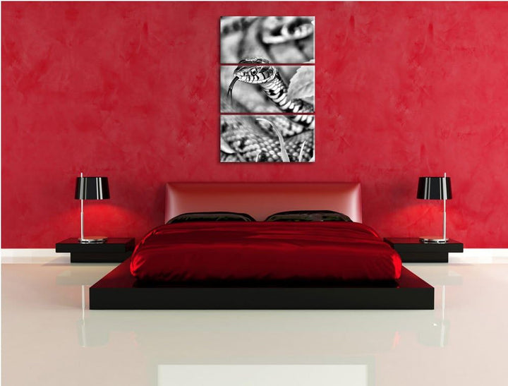 Pixxprint beeindruckende Schlange als Leinwandbild/Grösse: 3 Teilig (120x80) cm/Wandbild/Kunstdruck/