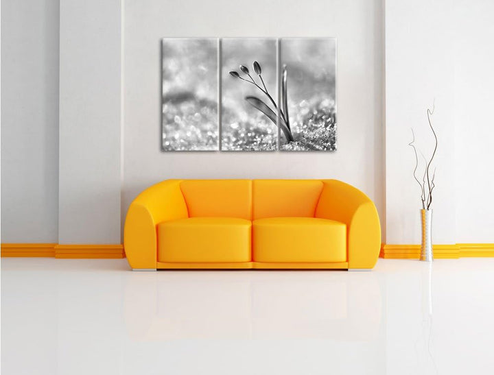 Pixxprint Monocrome, Blaue Knospen im Schnee 3-Teiler Leinwandbild 120x80 Bild auf Leinwand
