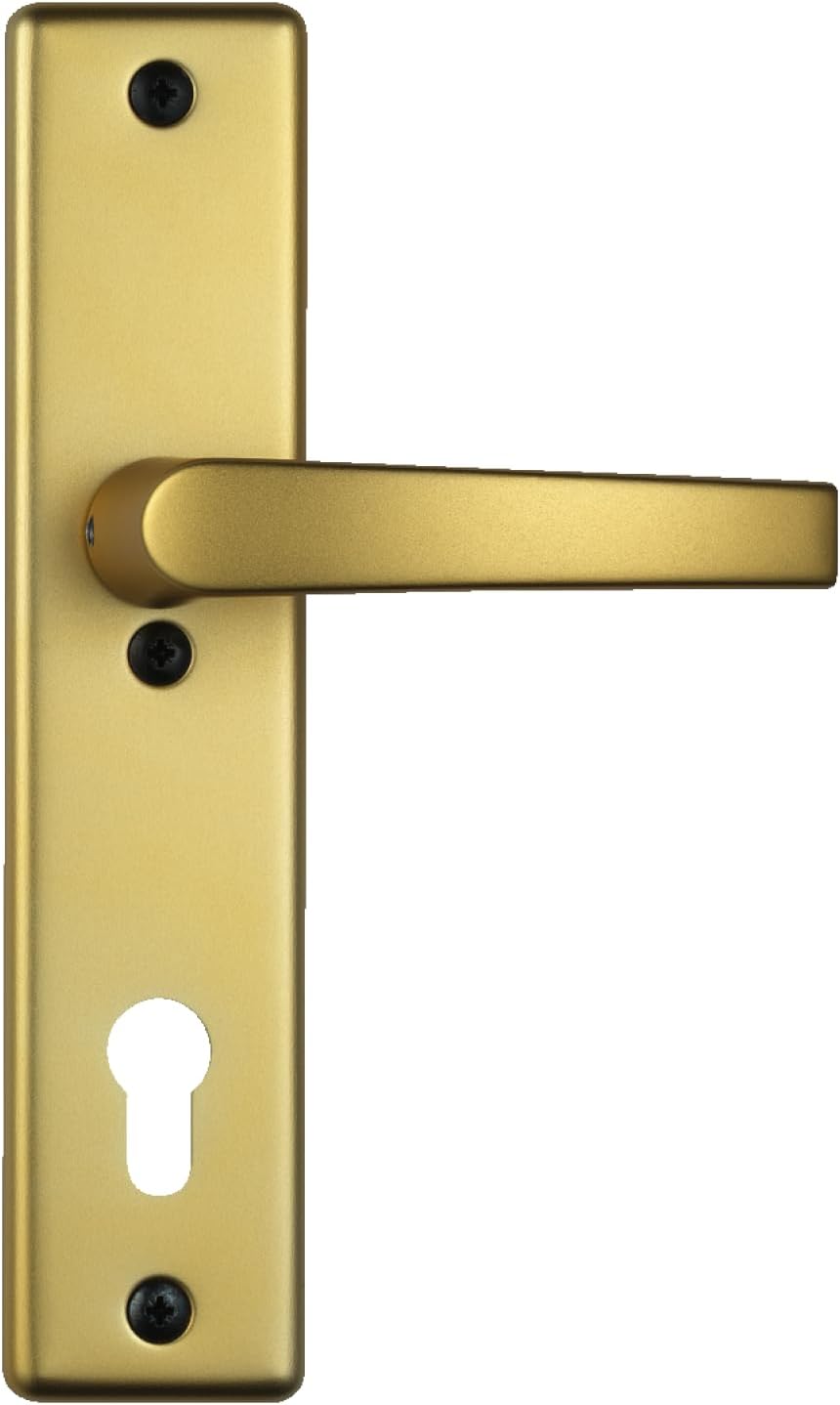 Abus Schutzbeschlag Typ HLS214 F3 b.Dr. EK, 08303 Beidseitig Drücker F3 Messing, Beidseitig Drücker