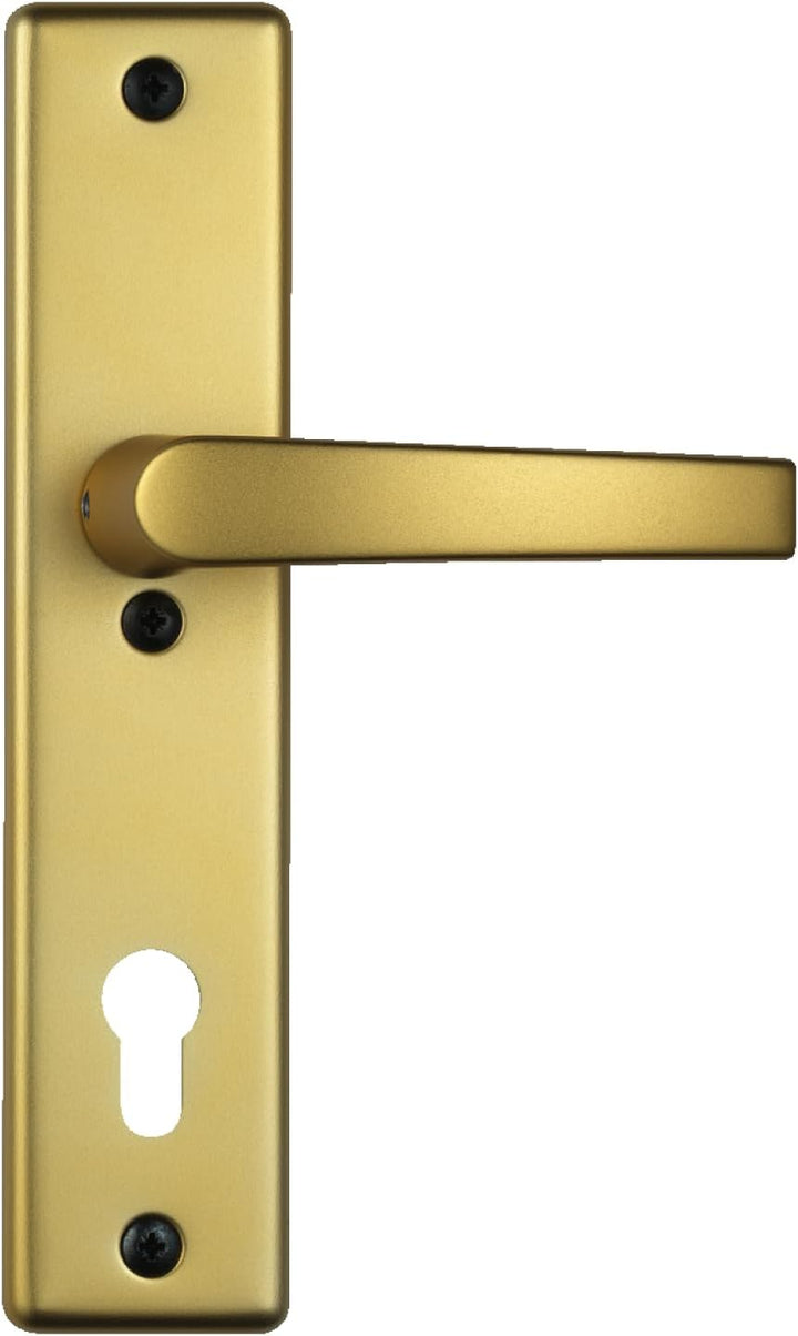 Abus Schutzbeschlag Typ HLS214 F3 b.Dr. EK, 08303 Beidseitig Drücker F3 Messing, Beidseitig Drücker