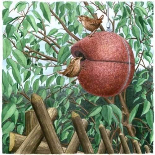 SCHWEGLER Zaunkönigkugel Nistkugel"Herbstlicht" Rot