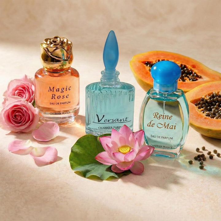 Top Ten Gift Set of 10 Eau de Parfums Miniatures Total 57,8 ml | 10 Stück (1er Pack)