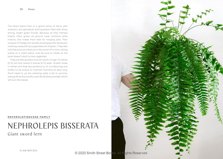 Plantopedia: The Definitive Guide to House Plants, Gebundenes Buch