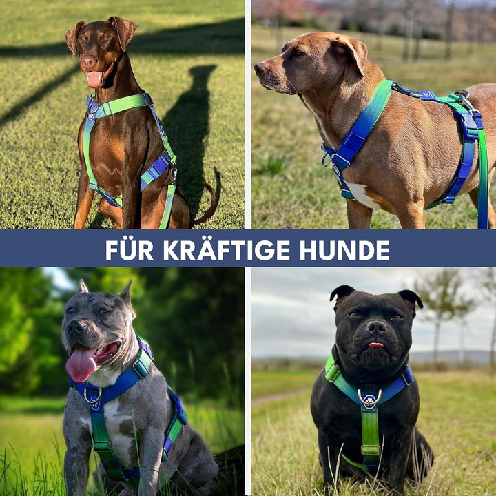 Spark Paws No Pull Hundegeschirr mit Griff für grosse Hunde, strapazierfähiges Hundegeschirr für gro