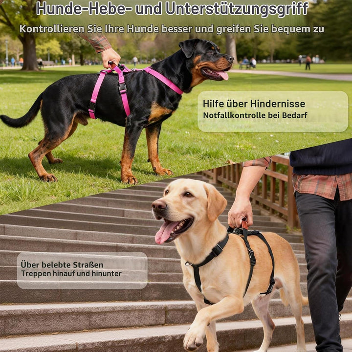Hundegeschirr Ausbruchsicher, Anti Zug Sicherheitsgeschirr Hund, Verstellbare Brustgeschirr mit Gepo