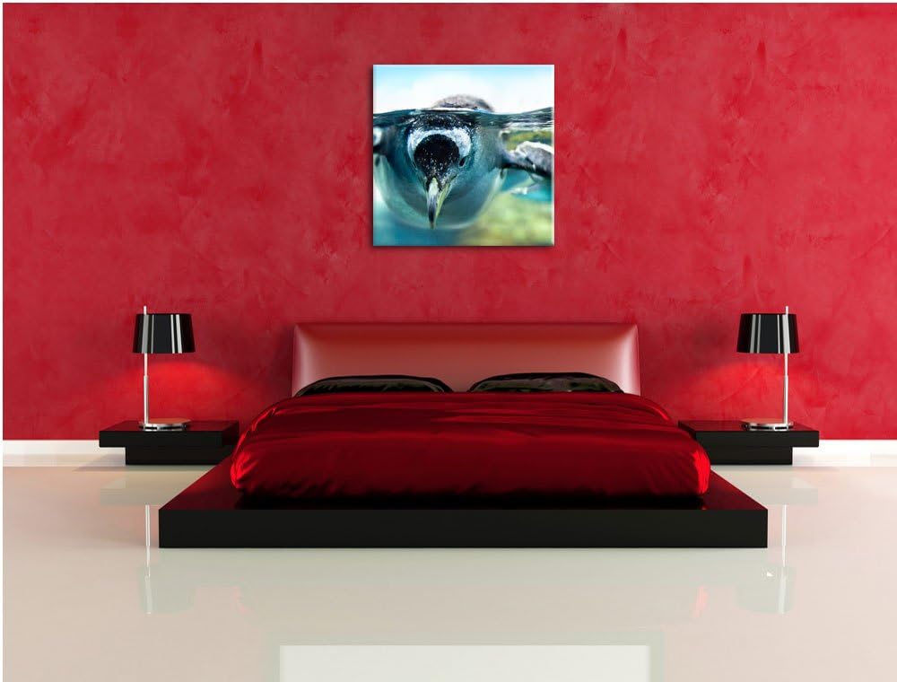Pinguin im Wasser, Format: 70x70 auf Leinwand, XXL riesige Bilder fertig gerahmt mit Keilrahmen, Kun