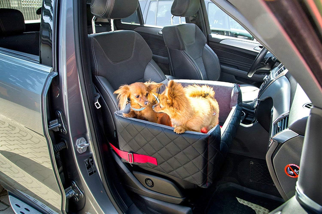 BOUTIQUE ZOO Exclusive Hunde Autositz | Autositz für Hunde, Katzen, Haustier | Rückbank, Beifahrersi
