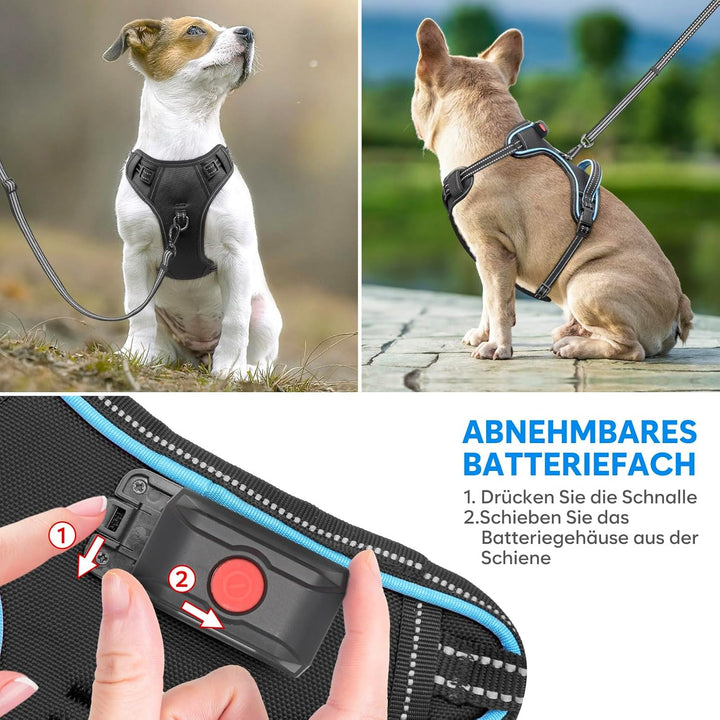 Hundegeschirr Leuchtend Wiederaufladbares Leuchtgeschirr für Hunde Led Beleuchtetes Hundegeschirr fü
