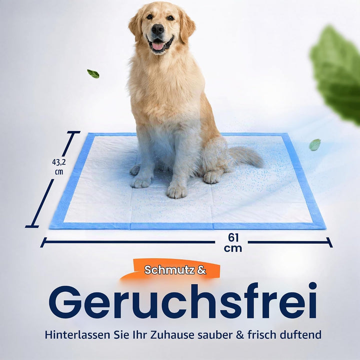 HEALQU Wickelunterlage Einweg – Baby Wickelauflagen 50 Stück 43 x 60cm – extra weich, saugfähig und
