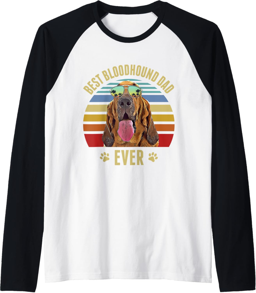 Bloodhound Best Dog Dad Ever Retro Sonnenuntergang Strand Vibe Raglan