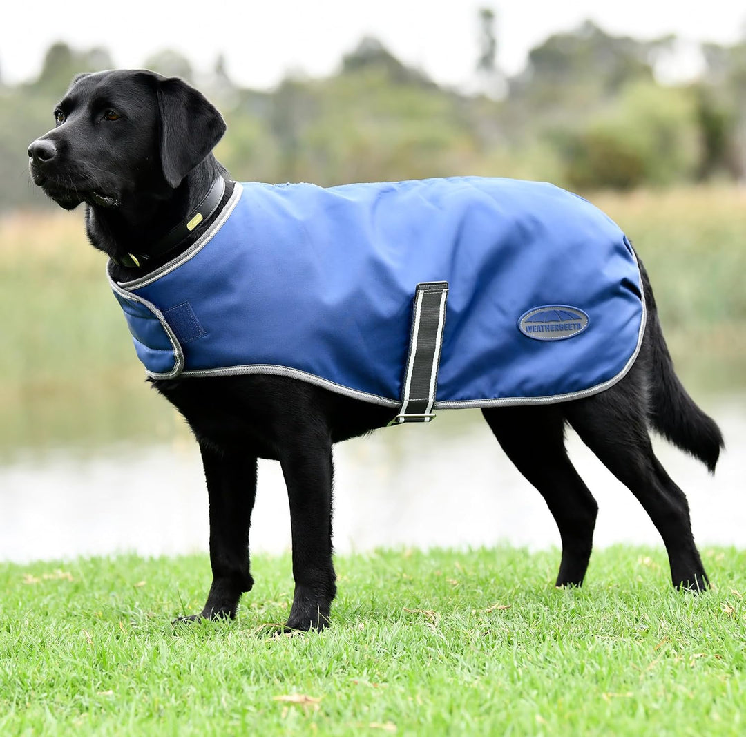Weatherbeeta Comfitec Windjacke Frei Hundemantel - Dunkelblau/Weiss/Grau 30 cm Dunkelblau/Grau/Weiss