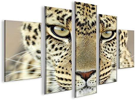 islandburner Bild Bilder auf Leinwand Leopard MF Katze Raubkatze XXL Poster Leinwandbild Wandbild De