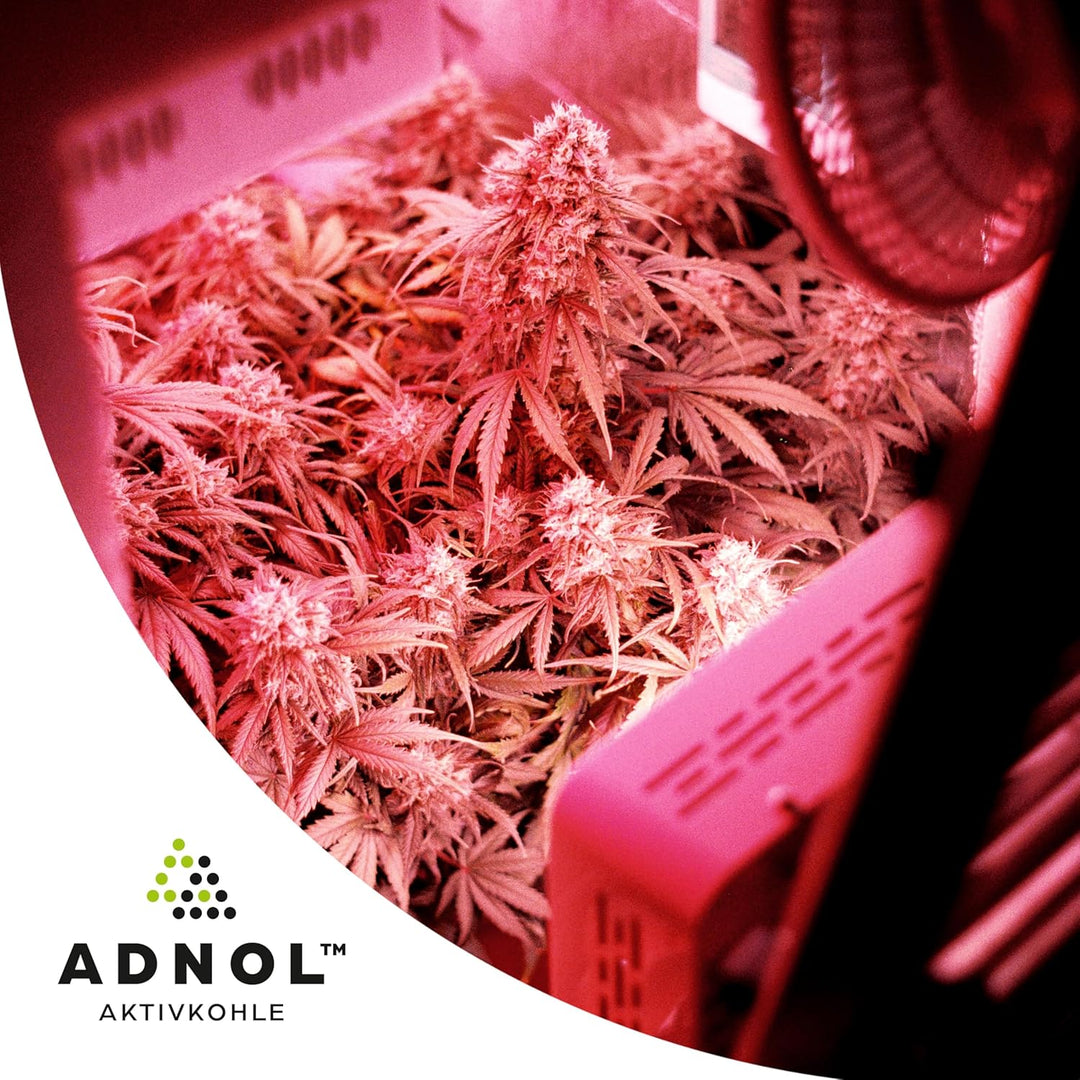 Aktivkohle Pellets 1,5 Liter für Luftfilter Growbox Verbesserung der Raumluft, CTC80, Durchmesser 4m