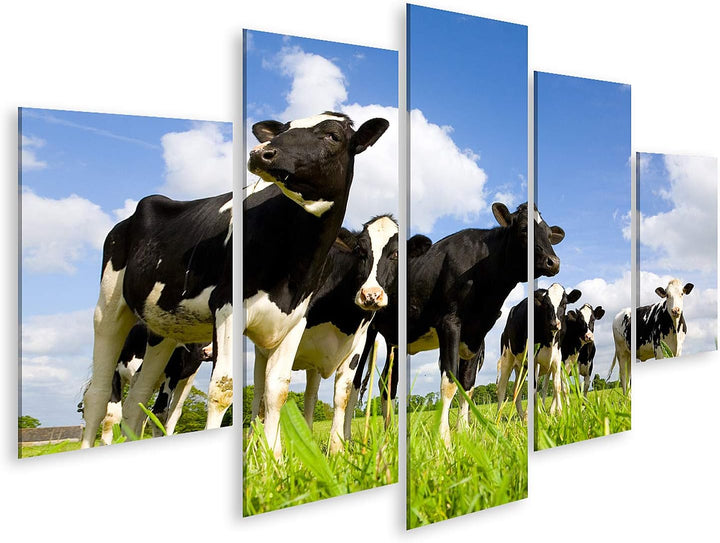 islandburner Bild auf Leinwand Holsteinische Kühe Auf Der Wiese Bilder Wandbilder Poster Leinwand 17