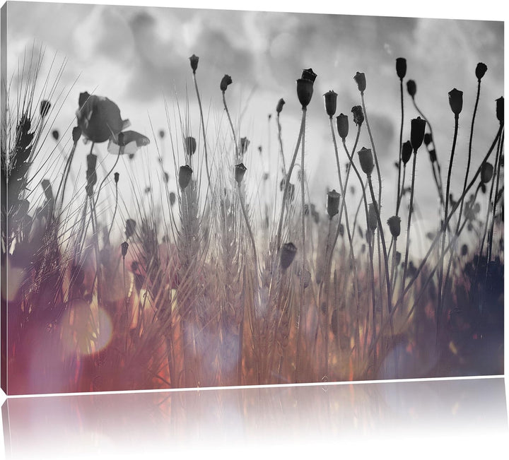 Pixxprint Mohn im Weizenfeld als Leinwandbild/Grösse: 100x70 cm/Wandbild/Kunstdruck/fertig bespannt,