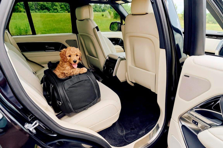 Tavo Dupree II Haustier‑Transportbox, Flugzeug‑konform, ISOFIX, atmungsaktives Mesh, Aufprallgeprüft