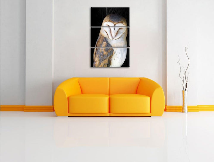 Pixxprint Schleiereule Schwarz/Weiss 3-Teiler Leinwandbild 120x80 Bild auf Leinwand